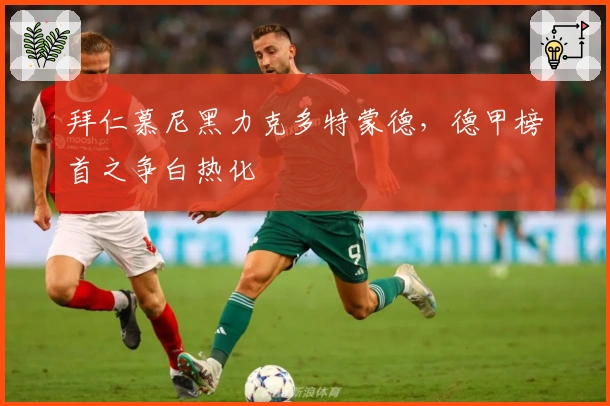 拜仁慕尼黑力克多特蒙德，德甲榜首之争白热化